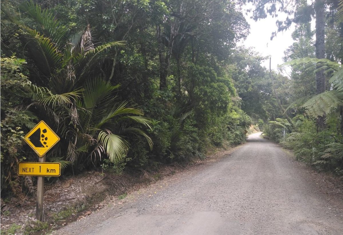 Waipoua River Road closure